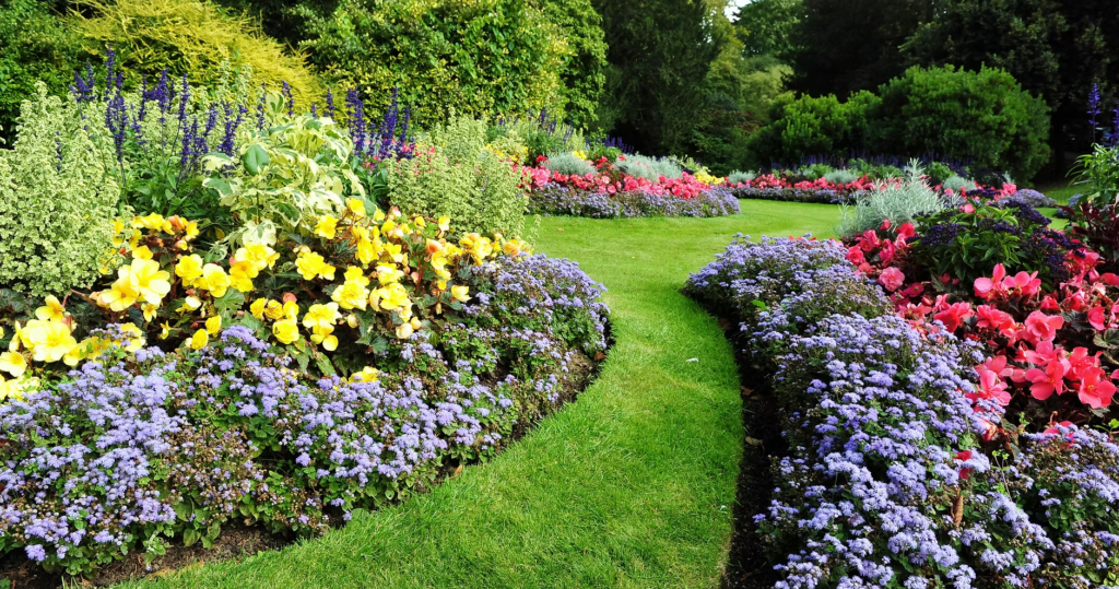 Celetti Nursery and Garden Center